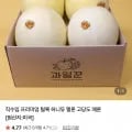 허니듀 멜론 2수 3.6kg 내외