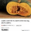 뉴질랜드 단호박 2kg