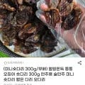 말랑쫀득 통통 오징어 숏다리 300g