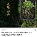지리산 함양천년지기 산양삼 3년근 10뿌리