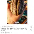 완도 활전복 왕특대 1kg 8-9미 2개