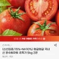 국내산 완숙토마토 2번 5kg