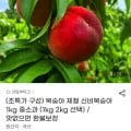 제철 신비복숭아 1kg