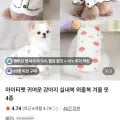 강아지 실내복 외출복 전시즌 옷 2,000원 3,000원