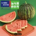 수박 정품 8kg