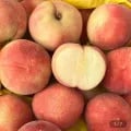반납작 대극천 복숭아 2kg