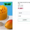 망고밤 케이크 1개
