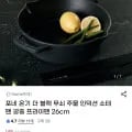 포네 온기 블랙 무쇠 주물 소테팬 프라이팬 26cm