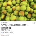 국산 홍매실 특 5kg