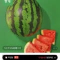 하우스 정품 수박7kg 비파괴선별 11브릭스이상(15,900원/무료)