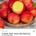 국내산 천도 복숭아 소과 2kg