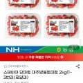 스테비아 단마토 대추방울토마토 2kg 1~3번 로얄과