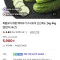 특품 백다다기오이 2kg
