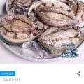 활전복 5미 1kg 1세트 + 손질도구