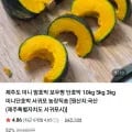 보우짱 미니 단호박 제주도산 5kg
