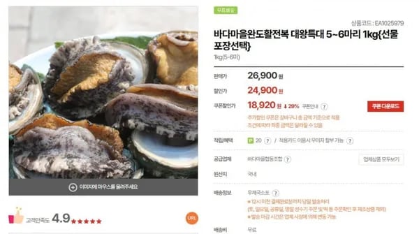 완도 활전복 대왕특대 5~6마리 kg 1개