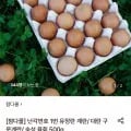 무항생제 유정란 난각 1번 20구 대란 1박스