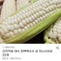 여수 미백옥수수 15cm 이상 20개