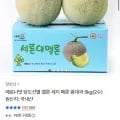 세지멜론 왕대과 사이즈 5kg 2수