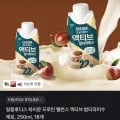 일동후디스 하이뮨 프로틴 밸런스 액티브 밤티라미수 제로 250ml 18개