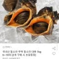 국내산 참소라 주먹 참소라 대짜 1kg 6~10미
