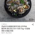 활전복 대 9~10마리 1kg 전남도지사품질인증직거래 산지직송 1kg 9~10마리