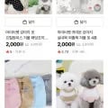 강아지옷 시즌오프 전품목 2000원 1장