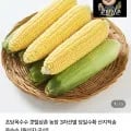 초당옥수수 10개 14,900원 / 애플초당옥수수 14,900원 15,900원
