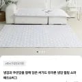 휴비스 듀라론100% 쇼파패드 냉감러그 41,400원 3,000원