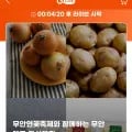 무안군 햇수확 미백 찰옥수수 12cm이상 20개입 (15,270원/무료)