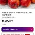 산지직송 경북 노지 대석자두 5kg 중 (개당 30g내외) (11,900원~/무료)