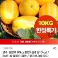 성주 꿀참외 10kg 혼합