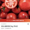 완숙 찰토마토 5kg