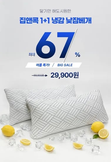 메밀 경추베개 거북목 일자목 +1 29,900원1