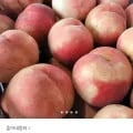 대극천 복숭아 4kg 소과 (24,900원/무료배송)