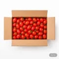 대추방울토마토 2kg 소과 (5,710원/무료)1