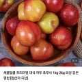 새콤달콤 프리미엄 대석 자두 1kg 국산 (9,400원/무료)