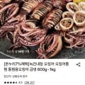 통찜용오징어 급냉 600g (9,880원/무료)