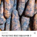 국산 당근 5KG 중당근 (8,450원/무료)