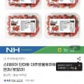 스테비아 대추방울토마토 2kg