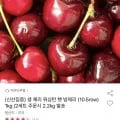 햇 빙체리 1kg