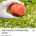 고당도 대극천복숭아 kg