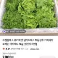 무농약 유러피안샐러드 1kg (6,950원/무배)