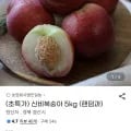 신비복숭아 5kg