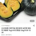 제주 밤단호박 보우짱 7kg