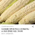 미백 찰옥수수 20개입