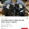 유나건어물 완도 마른 미역귀 귀다리