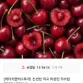 미국 워싱턴 직수입 고당도 생체리 kg