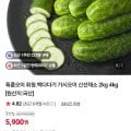 특품 취청오이 2kg (5,900원/무배)