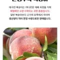 대극천 복숭아 3kg(혼합과)